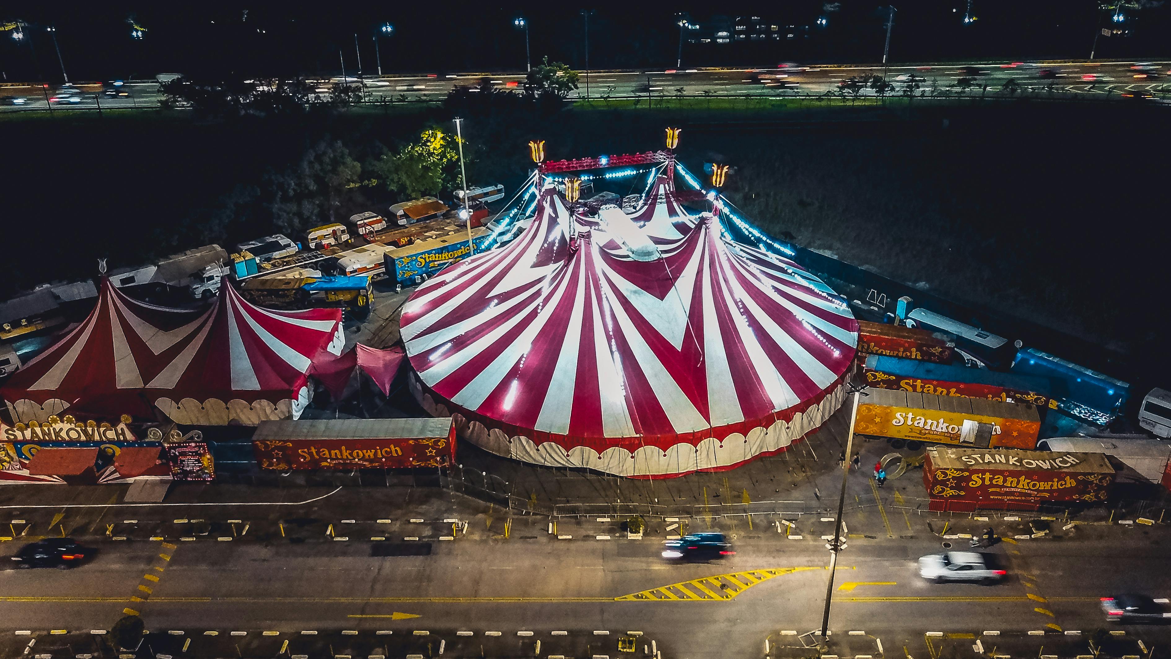 颜忻雨 第29页